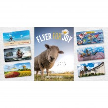 9002-Flyer-for-Joy-Prospekt-P1